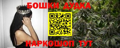 прущие грибы Малгобек