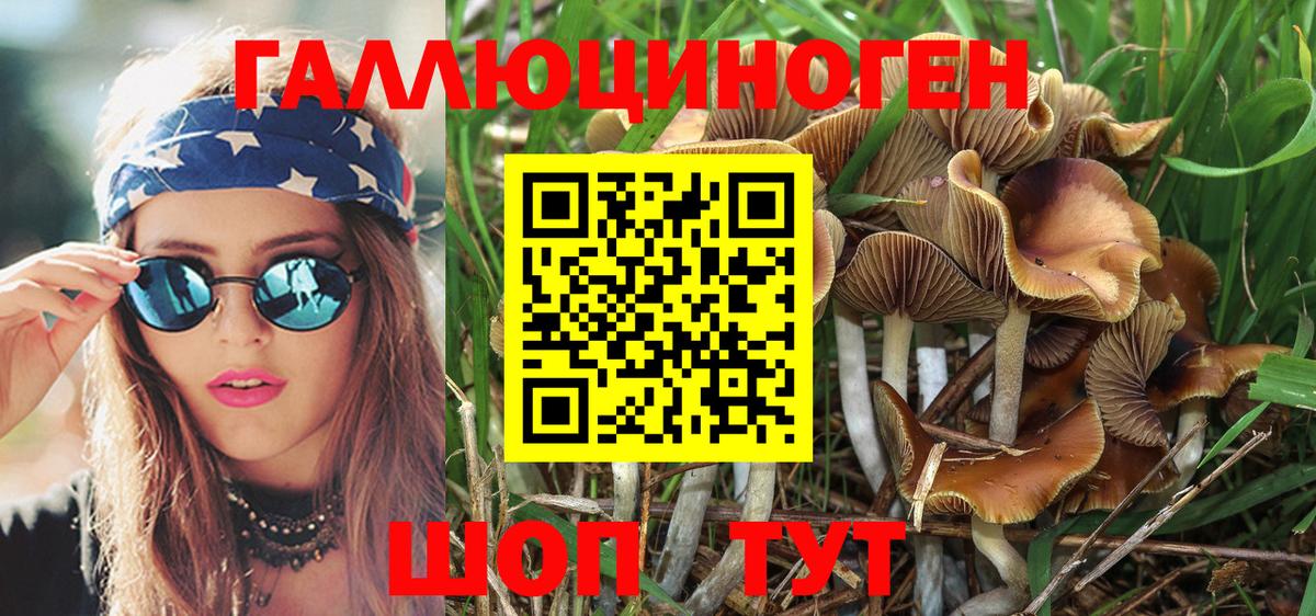 Галлюциногенные грибы Magic Shrooms Выкса
