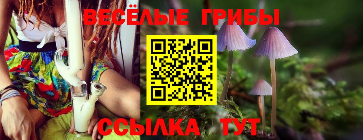 Псилоцибиновые грибы прущие грибы  Псилоцибиновые грибы GOLDEN TEACHER  Вход с VPN  Выкса 