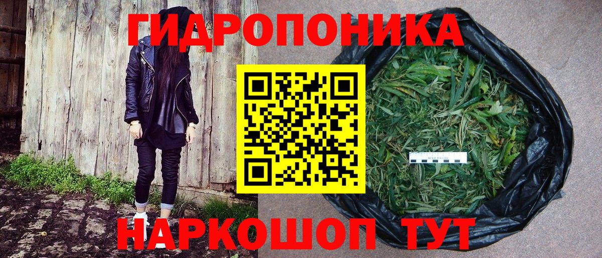 Конопля конопля  Вход с VPN  Канабис LSD WEED  Канабис LSD WEED  Выкса 